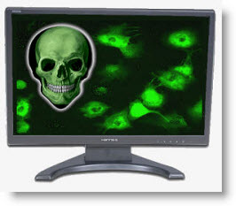 Compuer Virus